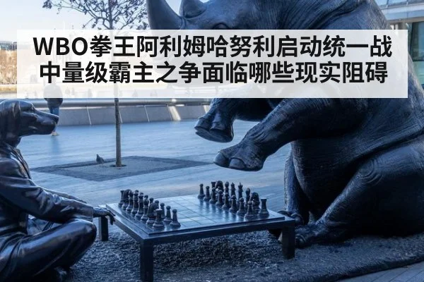 WBO拳王阿利姆哈努利启动统一战 中量级霸主之争面临哪些现实阻碍