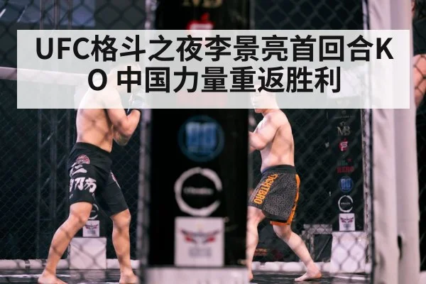 MMA octagon action