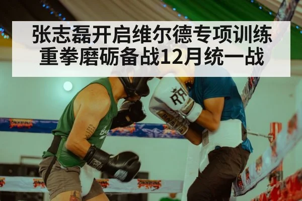 张志磊开启维尔德专项训练 重拳磨砺备战12月统一战