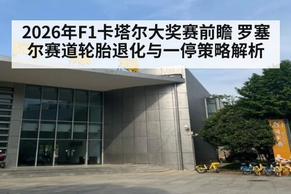 2026年F1卡塔尔大奖赛前瞻 罗塞尔赛道轮胎退化与一停策略解析